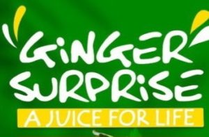 Ginger Surprise Logo